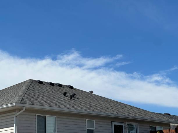 Best Cold Roofs  in Carrollton, OH
